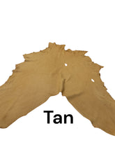 Load image into Gallery viewer, Buckskin