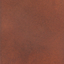 Load image into Gallery viewer, Fenice Diamond Waterstain 8.5 oz