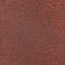 Load image into Gallery viewer, Fenice Diamond Waterstain 8.5 oz