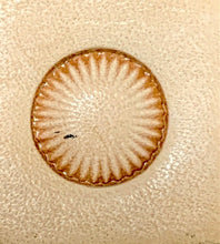 Load image into Gallery viewer, Pro Series Tool 82288-00