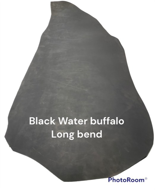 Water buffalo Black Long Bend
