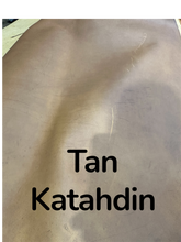 Load image into Gallery viewer, Oil Tan sides
