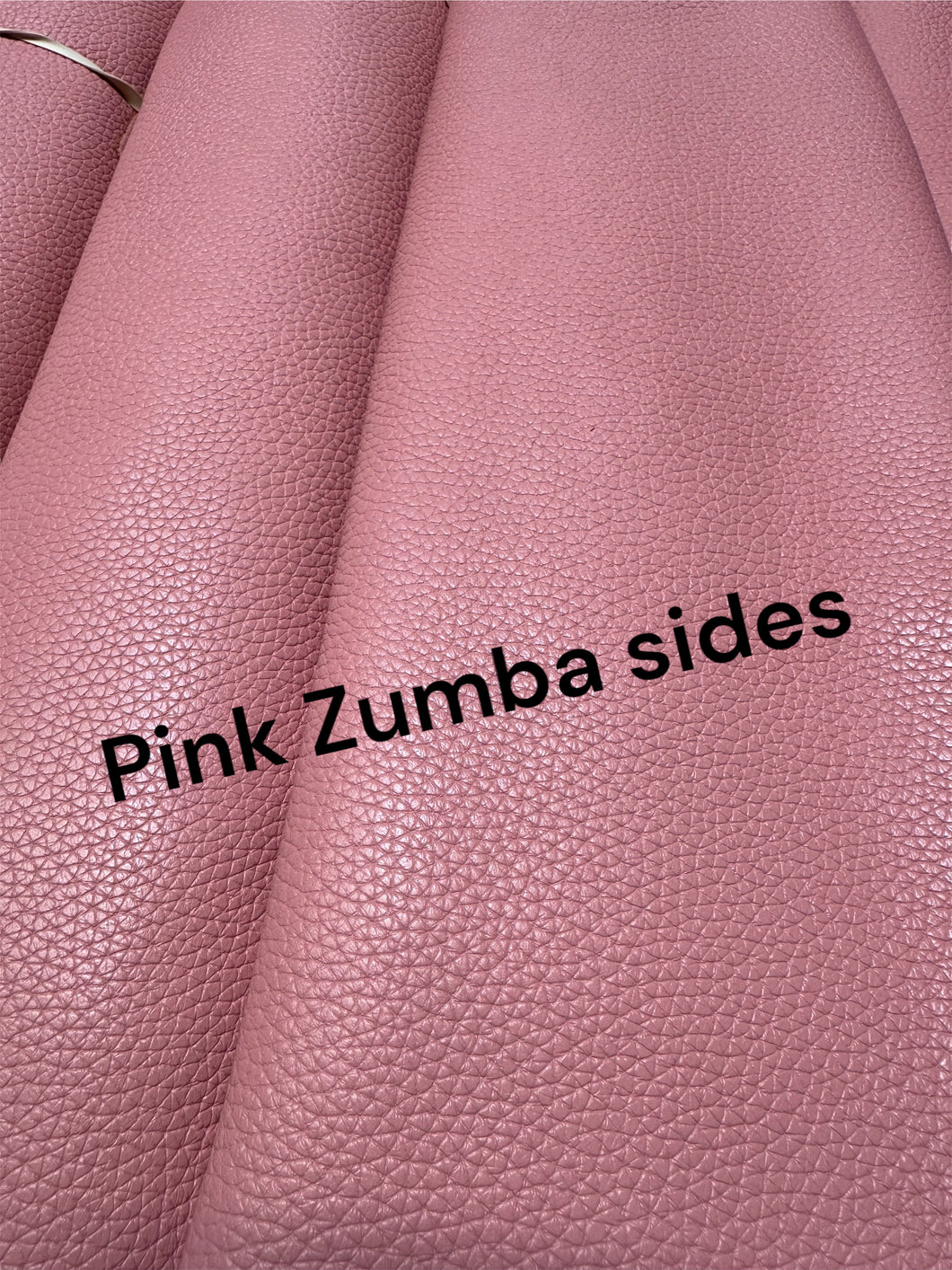 Zumba purse/chap sides