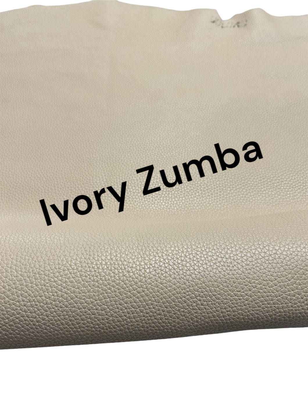 Zumba purse/chap sides