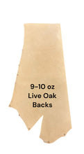 Load image into Gallery viewer, Live Oak Backs
