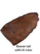 Load image into Gallery viewer, Beaver tail
