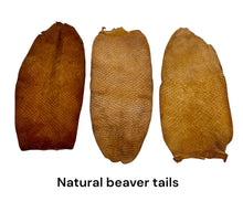 Load image into Gallery viewer, Beaver tail
