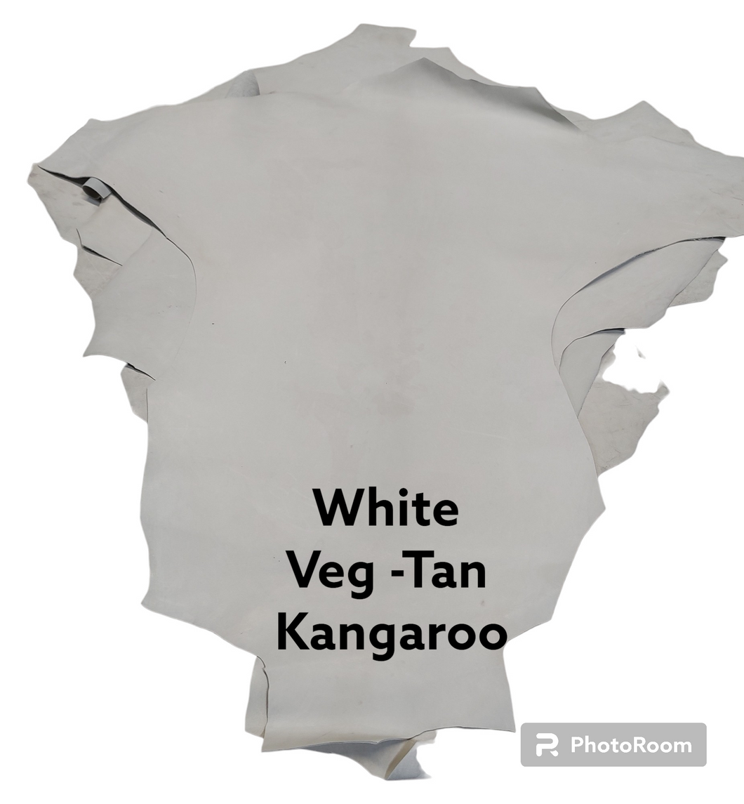 White Kangaroo